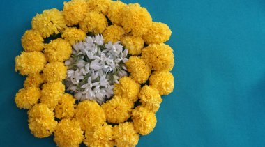 Marigold 'un sarı çiçekleri. Taze tatil çiçekleri, yakın çekim.