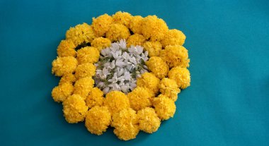 Marigold 'un sarı çiçekleri. Taze tatil çiçekleri, yakın çekim.