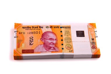 Hindistan Rupisi Yığını beyaz arkaplanda izole