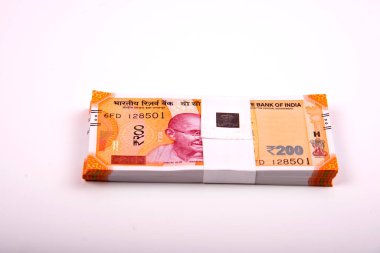 Hindistan Rupisi Yığını beyaz arkaplanda izole