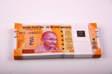 Hindistan Rupisi Yığını beyaz arkaplanda izole