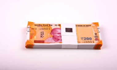 Hindistan Rupisi Yığını beyaz arkaplanda izole