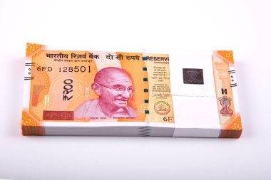 Hindistan Rupisi Yığını beyaz arkaplanda izole