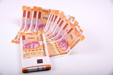 Hindistan Rupisi Yığını beyaz arkaplanda izole