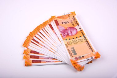 Hindistan Rupisi Yığını beyaz arkaplanda izole