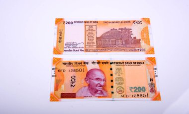 Hindistan Rupisi Yığını beyaz arkaplanda izole