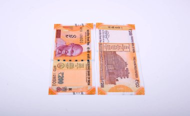 Hindistan Rupisi Yığını beyaz arkaplanda izole