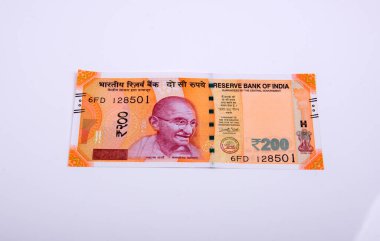 Hindistan Rupisi Yığını beyaz arkaplanda izole