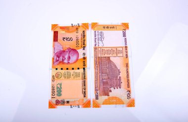 Hindistan Rupisi Yığını beyaz arkaplanda izole