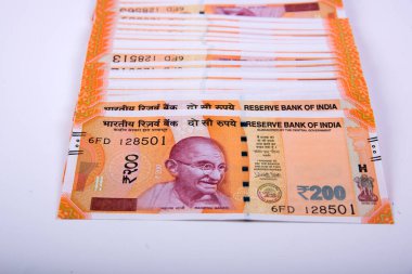 Hindistan Rupisi Yığını beyaz arkaplanda izole