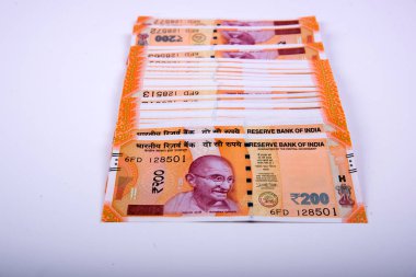 Hindistan Rupisi Yığını beyaz arkaplanda izole