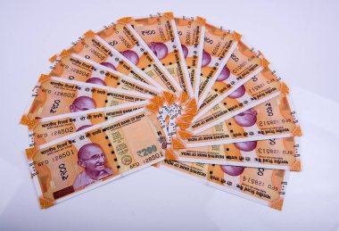 Hindistan Rupisi Yığını beyaz arkaplanda izole