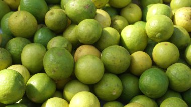 Güneş ışığında yeşil sitruslar yığını