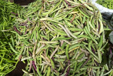 Yiyecek pazarında taze taze fasulye yığını. 