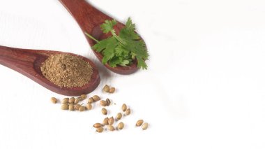 Kuru kişniş tohumları ile küçük bambu kaşıkları ve yeşil demet kişniş yaprakları, Asya mutfağında ünlü baharatlar..