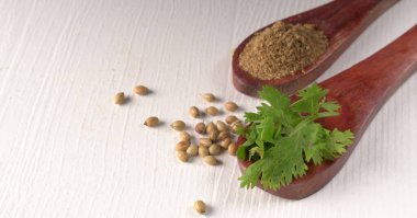 Kuru kişniş tohumları ile küçük bambu kaşıkları ve yeşil demet kişniş yaprakları, Asya mutfağında ünlü baharatlar..