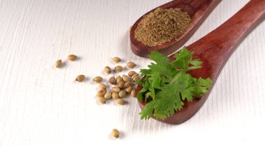 Kuru kişniş tohumları ile küçük bambu kaşıkları ve yeşil demet kişniş yaprakları, Asya mutfağında ünlü baharatlar..