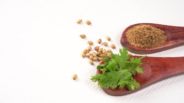 Kuru kişniş tohumları ile küçük bambu kaşıkları ve yeşil demet kişniş yaprakları, Asya mutfağında ünlü baharatlar..