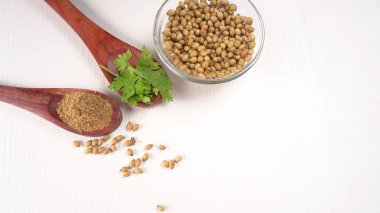 Kuru kişniş tohumları ile küçük bambu kaşıkları ve yeşil demet kişniş yaprakları, Asya mutfağında ünlü baharatlar..