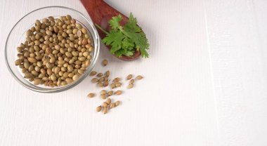 Kuru kişniş tohumları ile küçük bambu kaşığı ve yeşil taze demet kişniş yaprakları, Asya mutfağında ünlü baharatlar..