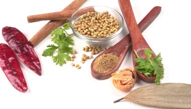 Kuru kişniş tohumları ile küçük bambu kaşıkları ve yeşil demet kişniş yaprakları, Asya mutfağında ünlü baharatlar..