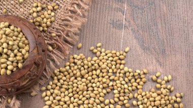 Ahşap masada kişniş tohumları, Hint baharatları ve otları