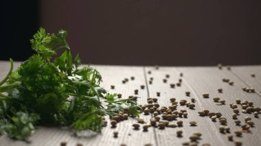 Kuru kişniş tohumları ve yeşil taze kişniş yaprakları Asya mutfağında ünlü baharatlar..