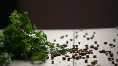 Kuru kişniş tohumları ve yeşil taze kişniş yaprakları Asya mutfağında ünlü baharatlar..