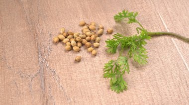 Kuru kişniş tohumları ve yeşil taze kişniş yaprakları Asya mutfağında ünlü baharatlar..