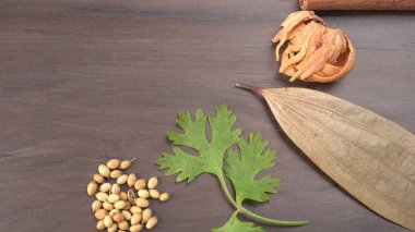 Kuru kişniş tohumları ve yeşil taze kişniş yaprakları Asya mutfağında ünlü baharatlar..