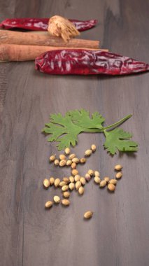 Kuru kişniş tohumları ve yeşil taze kişniş yaprakları Asya mutfağında ünlü baharatlar..