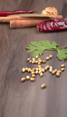 Kuru kişniş tohumları ve yeşil taze kişniş yaprakları Asya mutfağında ünlü baharatlar..