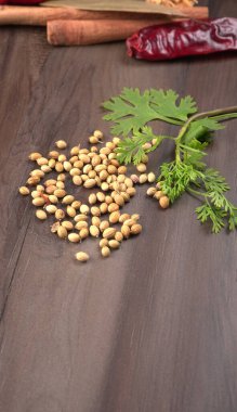 Kuru kişniş tohumları ve yeşil taze kişniş yaprakları Asya mutfağında ünlü baharatlar..