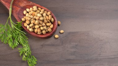 Kuru kişniş tohumları ile küçük bambu kaşığı ve yeşil taze demet kişniş yaprakları, Asya mutfağında ünlü baharatlar..