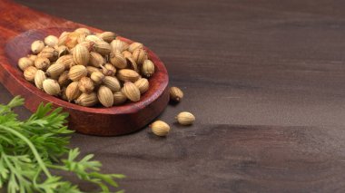 Kuru kişniş tohumları ile küçük bambu kaşığı ve yeşil taze demet kişniş yaprakları, Asya mutfağında ünlü baharatlar..