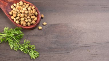 Kuru kişniş tohumları ile küçük bambu kaşığı ve yeşil taze demet kişniş yaprakları, Asya mutfağında ünlü baharatlar..