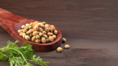 Kuru kişniş tohumları ile küçük bambu kaşığı ve yeşil taze demet kişniş yaprakları, Asya mutfağında ünlü baharatlar..