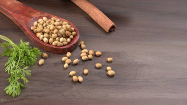 Kuru kişniş tohumları ile küçük bambu kaşığı ve yeşil taze demet kişniş yaprakları, Asya mutfağında ünlü baharatlar..