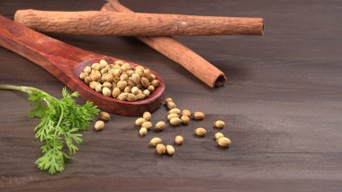 Kuru kişniş tohumları ile küçük bambu kaşığı ve yeşil taze demet kişniş yaprakları, Asya mutfağında ünlü baharatlar..