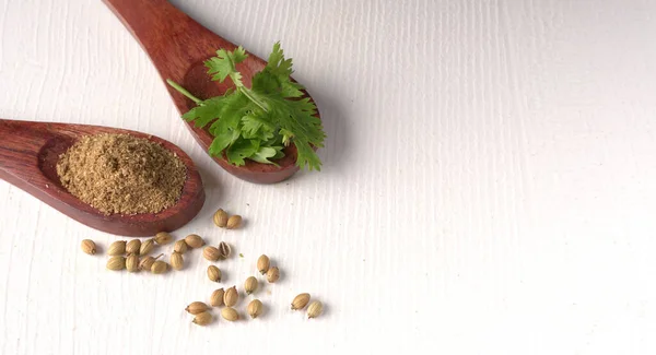 Dry Coriander Seeds Small Bamboo Spoons Green Fresh Bunch Coriander — Foto de Stock