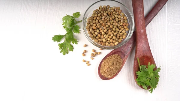 Kuru kişniş tohumları ile küçük bambu kaşıkları ve yeşil demet kişniş yaprakları, Asya mutfağında ünlü baharatlar..