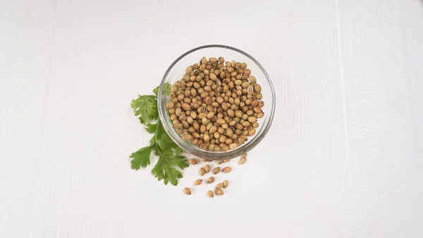 Dry Coriander Seeds Green Fresh Bunch Coriander Leaves Famous Spices — Photo