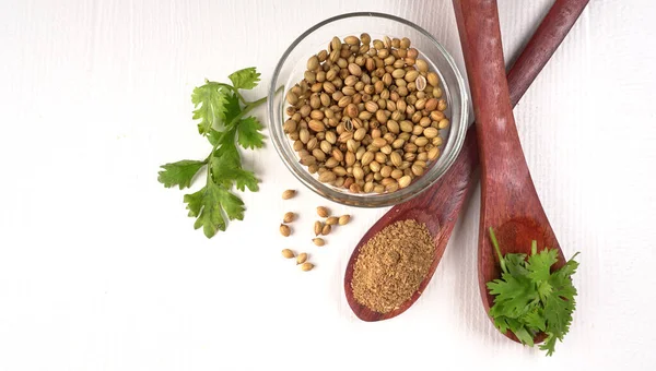 Kuru kişniş tohumları ile küçük bambu kaşıkları ve yeşil demet kişniş yaprakları, Asya mutfağında ünlü baharatlar..