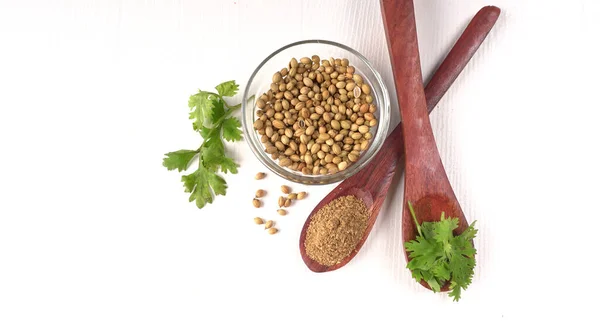 Dry Coriander Seeds Small Bamboo Spoons Green Fresh Bunch Coriander — Fotografia de Stock