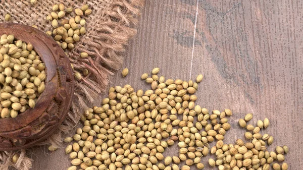 Ahşap masada kişniş tohumları, Hint baharatları ve otları