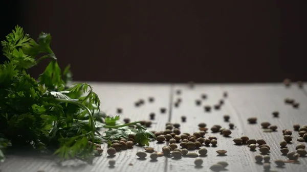Dry Coriander Seeds Green Fresh Bunch Coriander Leaves Famous Spices — Stok fotoğraf