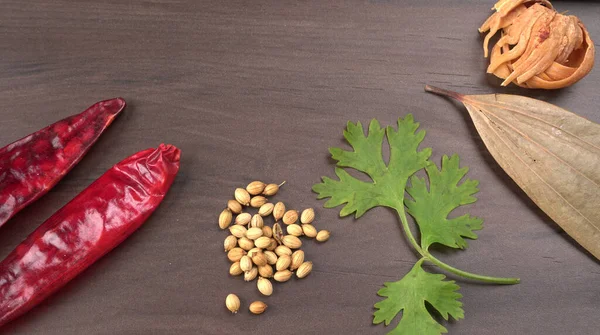 Kuru kişniş tohumları ve yeşil taze kişniş yaprakları Asya mutfağında ünlü baharatlar..