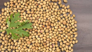 Kuru kişniş tohumları ve yeşil taze kişniş yaprakları Asya mutfağında ünlü baharatlar..