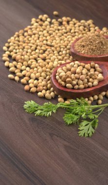 Kuru kişniş tohumları ile küçük bambu kaşıkları ve yeşil demet kişniş yaprakları, Asya mutfağında ünlü baharatlar..