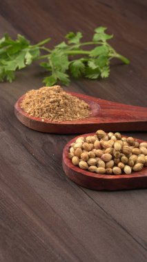 Kuru kişniş tohumları ile küçük bambu kaşıkları ve yeşil demet kişniş yaprakları, Asya mutfağında ünlü baharatlar..